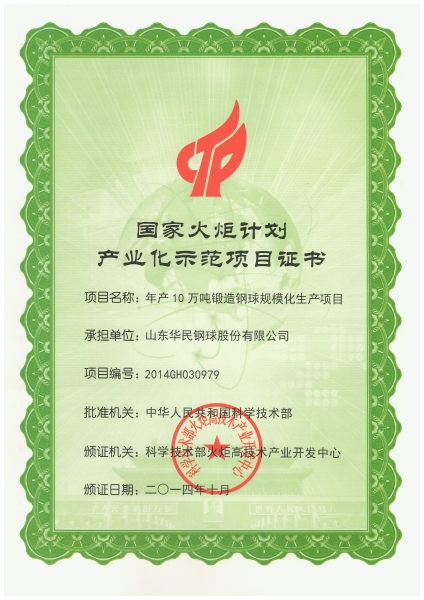 Torch project certificate